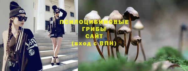 трава Дмитриев