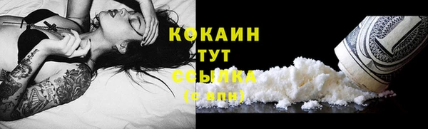 СК Дмитровск