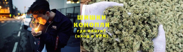трава Дмитриев