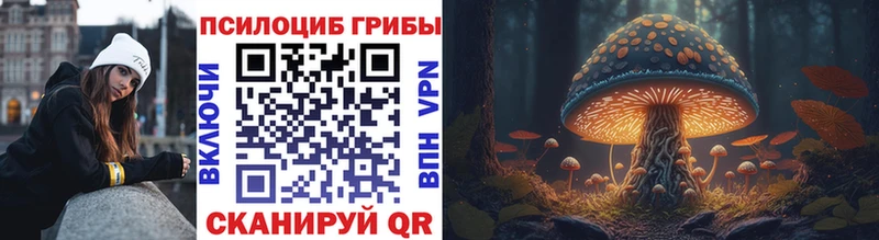 Купить закладки  Воткинск  Псилоцибиновые грибы Cubensis 